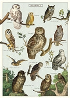 Poster Print M-Z