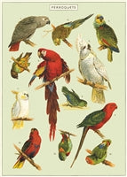 Poster Print A-L