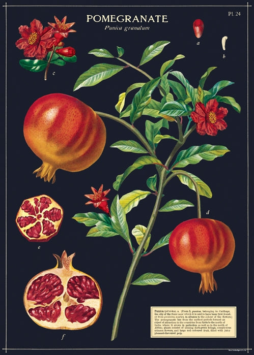 Poster Print M-Z