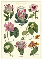 Poster Print M-Z
