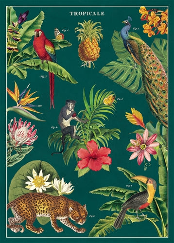 Poster Print M-Z