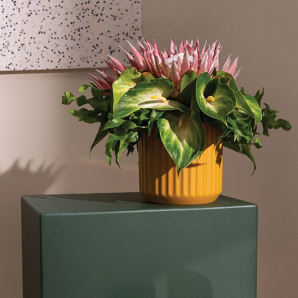Beam Pot