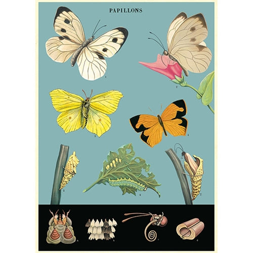 Poster Print A-L
